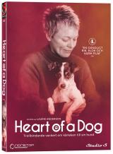 Omslag av Heart of a Dog (DVD)